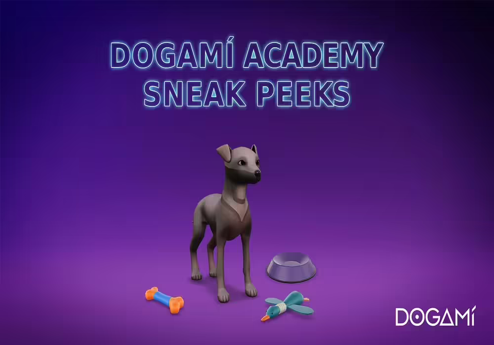 DOGAMÍ Academy Gets Sneak Peeks Featuring Adventure Mode & More