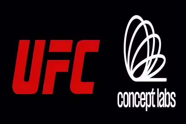 UFC Partners with Concept Labs to Publish UFC Strike: Fight Camp | PlayToEarn