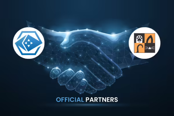 PlayToEarn Announces Game-Changing Partnership with 9Cat Digital | PlayToEarn