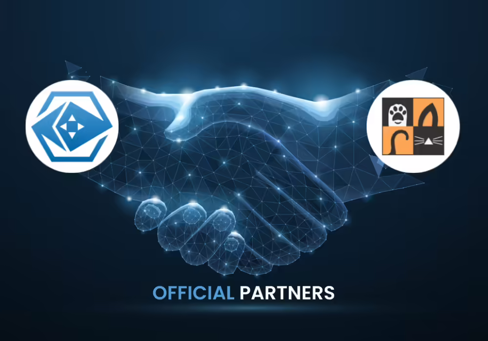 PlayToEarn Announces Game-Changing Partnership with 9Cat Digital