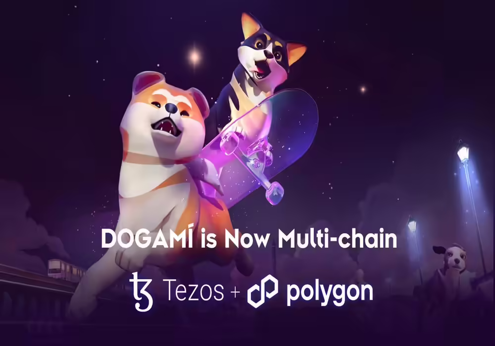 DOGAMÍ Academy Goes Multi-Chain With Polygon Expansion