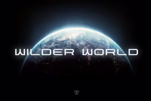 A Deep Dive Into Wilder World's Multiplayer Metaverse | PlayToEarn