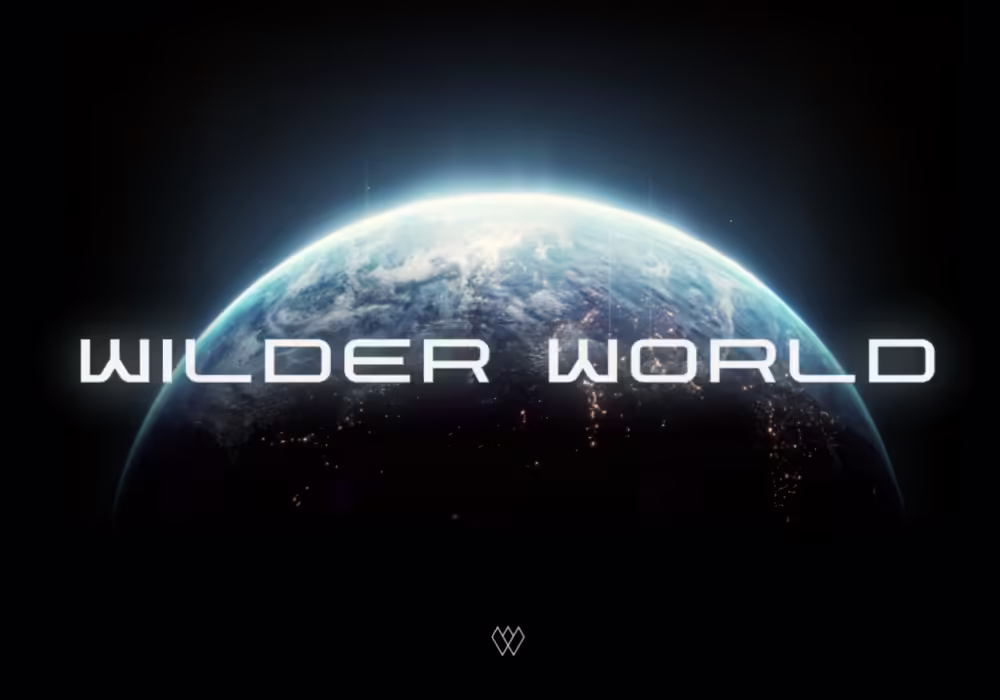 A Deep Dive Into Wilder World's Multiplayer Metaverse
