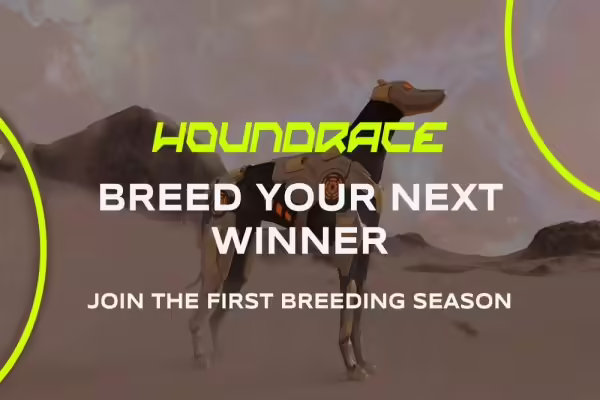 Alpha Dune Network Launches First Breeding Season for Houndrace | PlayToEarn